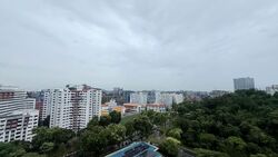Blk 290F Spring View (Bukit Batok), HDB 5 Rooms #566673911